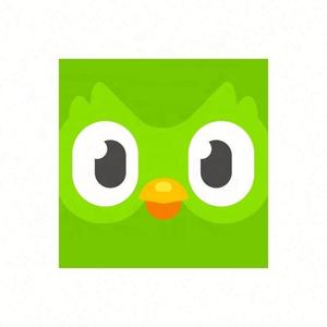 Cuenta Premium Duolingo Pro 1 Año, Activa Tu Propia Cuenta, Aplicable Globalmente en Todo el Mundo - Product Image 3