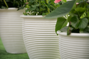 Maceta de Cerámica Transpirable Anti-Carillón, Redonda, Blanca Brillante, para Decoración Interior y Exterior - Product Image 4