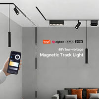 Projecteur encastré à grille orientable CCT à commande intelligente européenne, éclairage sur rail magnétique LED DC48V