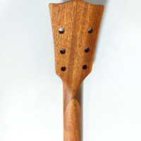 Manche de guitare électrique 22 frettes en bois d'acajou avec touche en palissandre, finition peinte, pour pièces de rechange de guitare style LP