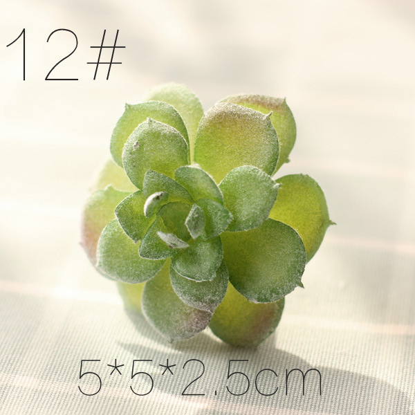 SKU12