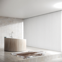 Set Completo di Tende Verticali INNOVASIA in Poliestere 89mm Filtranti la Luce con Montaggio Incluso (Bianco (Luce Diurna) L300 X A250 Cm)