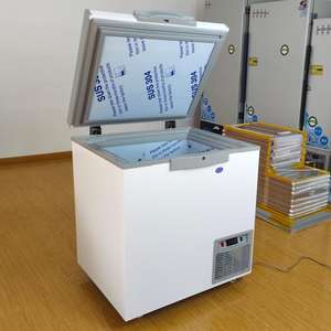 108L ~ 300 Lコンパクトディープチェストフリーザーホーム小型インバーター冷凍庫 - Product Image 1