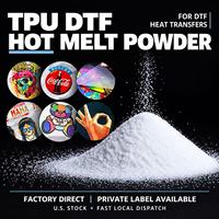 Poudre thermofusible DTF TPU blanche 1kg 80-200µm 110-120°C pour transfert direct sur film T-shirt – Prix usine