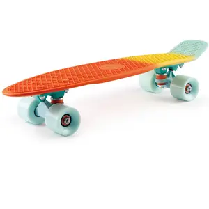 22 Inch Plastic Skateboard Fish Boards Skateboard With Big LED Wheel