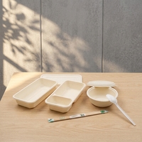 Conteneur jetable biodégradable et compostable en amidon de maïs pour plats à emporter, boîte à collation, Guangdong, épaisseur 3 mm