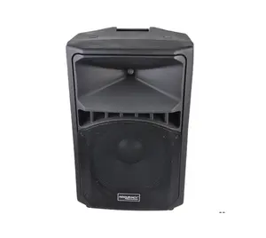 Accuracy Pro Audio CSG15 Professional 15 inch Powered Speaker Full Range Plastic Speaker