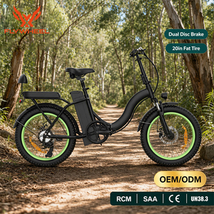 Vélo électrique hybride Flywheel EB11 pour femmes, vélo de route longue portée avec pneus larges, vélo de ville économique pour les trajets quotidiens et l'utilisation urbaine, Fatbike - Product Image 1