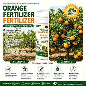Fertilizante en Polvo NPK Especial Premium <span class=keywords><strong>de</strong></span> 500g <span class=keywords><strong>para</strong></span> Naranjos, Mejora la Dulzura del Fruto, el Color Vívido <span class=keywords><strong>de</strong></span> la Piel y la Textura <span class=keywords><strong>de</strong></span> la Pulpa, Fortalece - Product Image 2