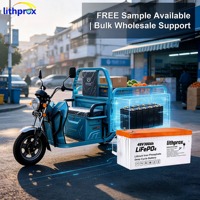 Batterie médicale LiFePO4 48V300AH de qualité automobile pour fauteuil roulant, performances supérieures, sans entretien, pour scooter de mobilité, certifiée UL