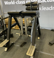 Chaise romaine commerciale pour développer les fessiers et les ischio-jambiers, équipement d'entraînement pour les hanches, hyperextension inversée, extension dorsale