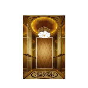 ลิฟต์บ้านขนาดเล็กลิฟต์3ชั้น450กก. ลิฟต์โดยสารสำหรับใช้งานในร่มและกลางแจ้ง