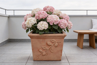 Pots carrés en terre cuite en gros, pots décoratifs en argile pour jardin, adaptés à la décoration de plantes vertes