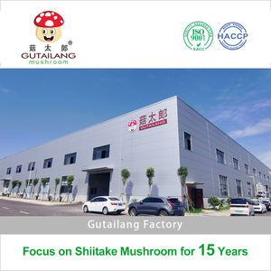 فطر المخمل المجفف بالجملة من مصنع معتمد من BRC، فطر قرن الغزال المجفف الكبير، فطر قرن الغزال الطبيعي المجفف - Product Image 5