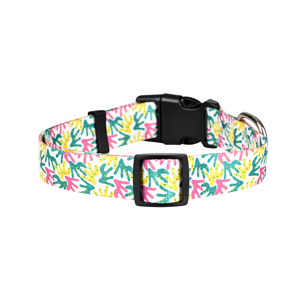 Pastel Multi-Color