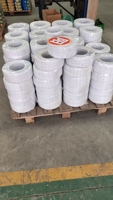Câbles électriques plats en cuivre gainé PVC 2 conducteurs 0,5 mm RVV BVVB 350v-750v bon marché et robustes