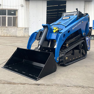 Ön uç yükleyici Shandong Kubota Skid Forks Forks kızaklı yükleyici ekleri derettetaxes vergiler dahil küçük 25hp dizel motor - Product Image 2