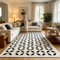 Tapis marocain jacquard PP noir et blanc à motif quadrifoliaire pour salon, tapis de sol moderne à motif géométrique treillis, lavable