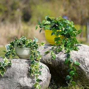 <span class=keywords><strong>Pot</strong></span> <span class=keywords><strong>de</strong></span> fleurs suspendu avec réservoir d'eau, design pastoral, chaîne épaissie à grand calibre <span class=keywords><strong>pour</strong></span> <span class=keywords><strong>plantes</strong></span> d'intérieur - Product Image 3