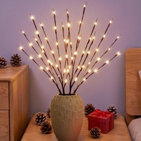 Guirlande lumineuse à 20 LED en forme de branche de saule, alimentée par piles, blanc chaud, pour la maison, les fêtes, Noël, les mariages, la décoration intérieure, la chambre, la table, le vase