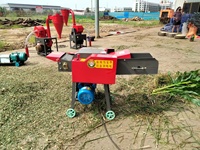 Mini broyeur de paille, broyeur d'herbe pour l'alimentation animale, hacheuse de foin, hacheuse de fourrage, machine à couper le foin