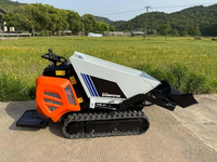 Antspower 2026 OEM 600kg Kapazität Mini-Lader, Dieselmotor, Kleiner Raupenkipper, Kompakte Größe