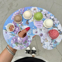 Plateau de gelato artistique jetable tendance personnalisé avec gobelet en bagasse de 3 oz pour les salons de desserts à emporter