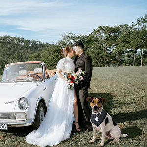 Perro esmoquin pajarita <span class=keywords><strong>Collar</strong></span> Formal boda cumpleaños Bandana para pequeño mediano grande S - Product Image 5