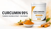 Poudre d'extrait de racine de curcuma de haute qualité 99% Curcumine Curcuminoïdes Antioxydant naturel Extrait végétal en vrac Qualité alimentaire