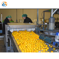 Commercial industriel Petite Mangue Manioc Machine à Laver les Fruits Gingembre Pomme de Laitue Tomate Carotte Laveuse De Légumes