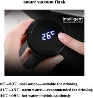 Bouteille d'eau écologique en acier inoxydable avec filtre, affichage de la température LCD intelligent, approuvée par l'UE/FCC, portable, 500 ml