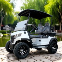 Nouvelle voiturette de golf électrique 2 places, vitesse 30-50 km/h, véhicule utilitaire, batteries au lithium-plomb 48V, autonomie 70-90 km, certifiée CEE, voiturette de club