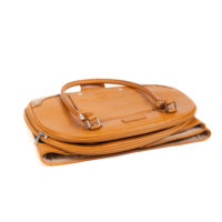 Sac de transport de luxe populaire en cuir PU avec fermeture éclair pour chats et petits chiens (capacité 8-10 kg) – Idéal pour les sorties en groupe