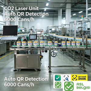 Système de marquage en ligne rapide BMG pour codes QR sur boîtes de lait en poudre avec traçabilité anti-contrefaçon par laser CO2 et vision - Product Image 3