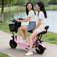 Bicicleta Eléctrica Plegable Personalizada Nueva, Bicicleta Eléctrica de 48V Resistente al Agua para Adultos, para Desplazamientos Urbanos