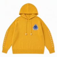 Pull en tricot personnalisé grande taille pour femme avec manches perlées, broderie et capuche