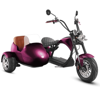 Scooter électrique à trois roues pour adultes avec side-car, design pliable, étanche, navigation GPS
