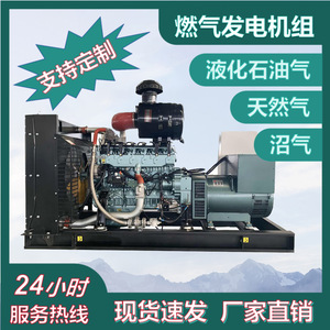 Générateur à gaz 250 kW, moteur GPL/GNC, équipement d'alimentation 440 V pour usage industriel - Product Image 4