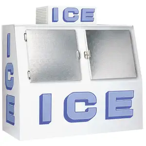 Outdoor bagged ice merchandise/ice storage bin freezer