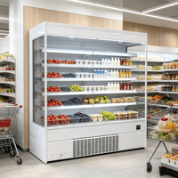 Vitrine Réfrigérée Professionnelle Grande Capacité Sans Givre à Inverter pour Boissons, Lait et Légumes
