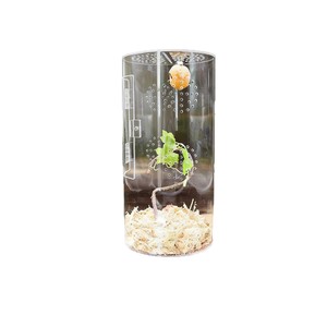 Enclos pour reptiles en acrylique Jingfeng, transparent, anti-évasion, pour crabes ermites, geckos, lézards, usage domestique, personnalisation disponible - Product Image 1