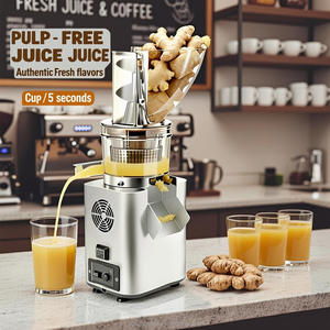 عصارة MKK التجارية البطيئة بقوة 750 واط، محرك عالي القدرة، منخفضة الضوضاء، تعمل بجهد مزدوج (220 فولت/110 فولت)، سرعتان لاستخراج العصير من الفواكه - Product Image 2