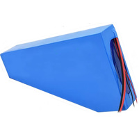 Triangle batterie 36V 48V 52V 10Ah 20Ah 30Ah 50Ah 500W 750W 1000W 1500W moteur haute capacité Ebike batterie au lithium