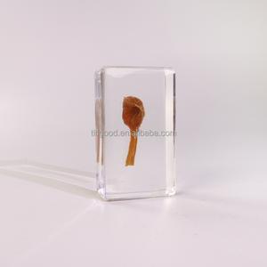 Spécimen en résine, artisanat en résine, mini ornements de <span class=keywords><strong>champignons</strong></span> réels, spécimen de cristal naturel original pour cadeau d'enfant - Product Image 2