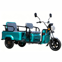 Triciclo Elettrico Innovativo per Trasporto Passeggeri, Veicolo a 3 Ruote con Capacità di Carico 200-300kg, Certificato EEC/DOT/GCC