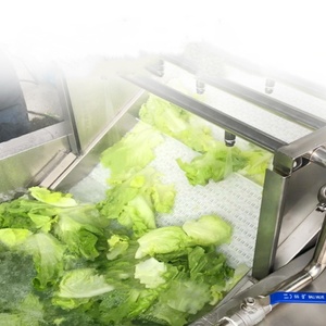 Máquina Industrial para Lavar Frutas y Verduras, Equipo de Limpieza de Frutas y Verduras con Ozono - Product Image 5