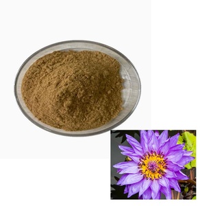 Polvere di Estratto di Fiore di Loto <span class=keywords><strong>Blu</strong></span> Naturale di Alta Qualità Cinese, Tè <span class=keywords><strong>Amaro</strong></span> Istantaneo in Polvere per Adulti in Bustina - Product Image 2