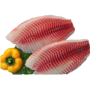 Congelati Filetto di Pangasius Prezzo Tilapia Filetto di Pesce Prezzo