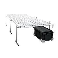Système hydroponique Nft Pvc Gouttières Plantation de légumes et graines de fraises