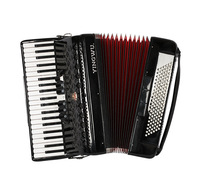 Accordéon piano, instruments de musique, officiel, authentique, Parrot, 41 touches, 120 basses, instrument pour débutants adultes, accordéon à trois rangées de lames